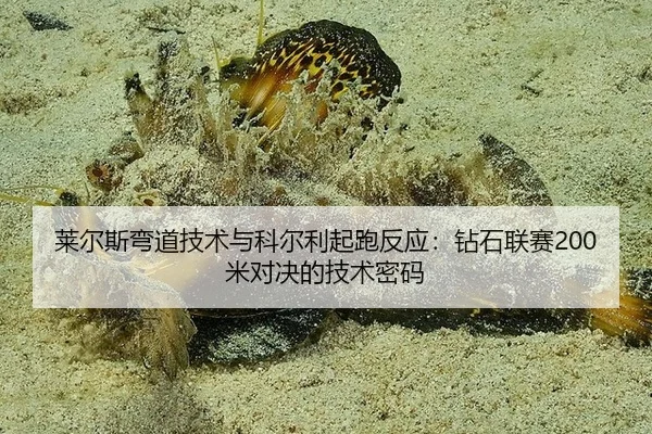 lai-er-si-wan-dao-ji-shu-yu-ke-er-li-qi-pao-fan-ying-zuan-shi-lian-sai-mi-dui-jue-de-ji-shu-mi-ma-3-676.jpg