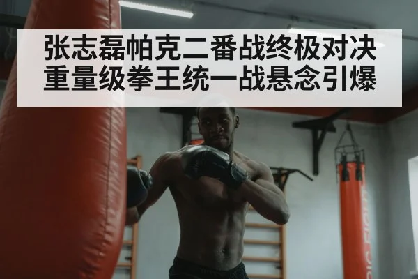 张志磊帕克二番战终极对决 重量级拳王统一战悬念引爆